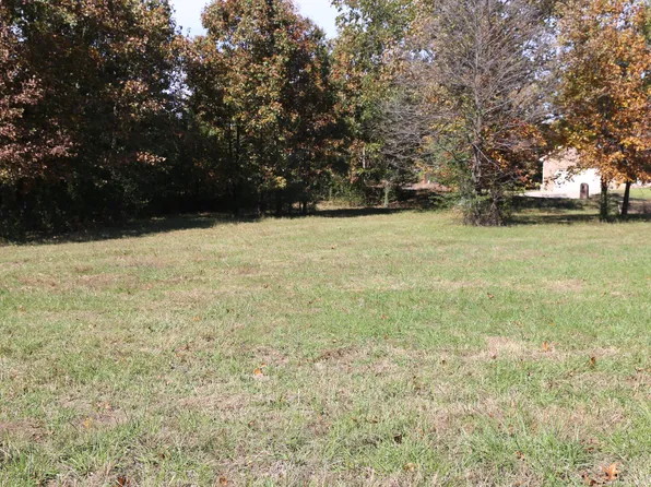 000 Wild Turkey Road Block 1 Lot 9, West Plains, MO 65775