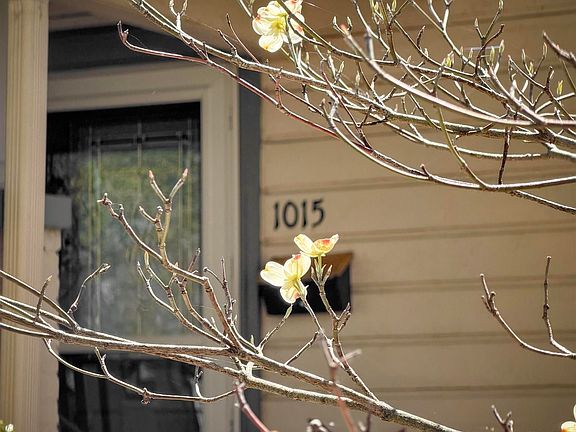 3rd image of 1015 Grant St SE