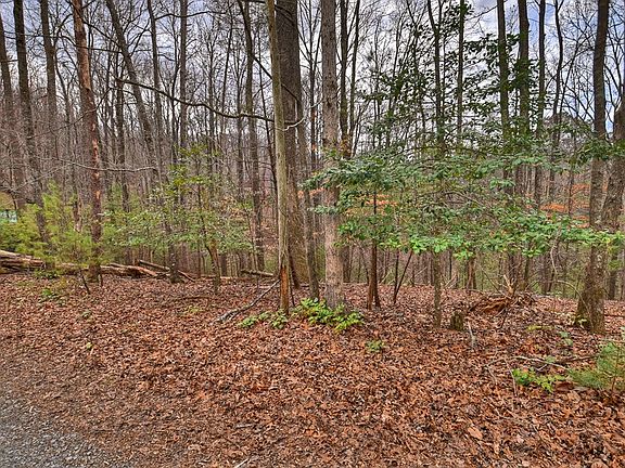 5th image of 0 Ridge View Ct