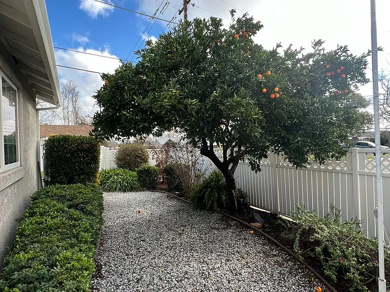 1620 Park Ave — Photo 27