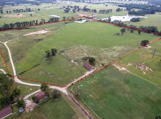 20778 Bain Hill Rd, Bullard, TX 75757