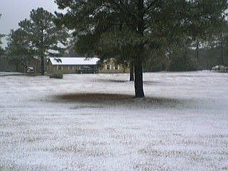 Snow 2008