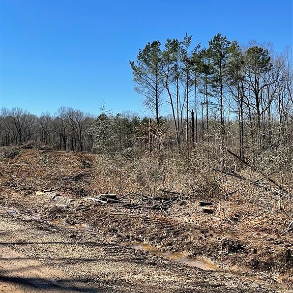 0 Grand Cane Firetower Rd Grand Cane, LA, 71032 Apartments for Rent