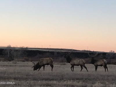 1XX Divot Dr LOT 166, Eagar, AZ, 85925