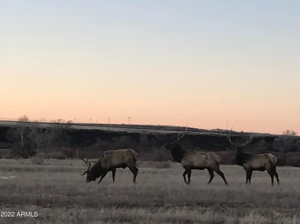 1XX Divot Drive #166, Eagar, AZ 85925