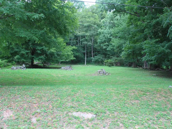 203 S Union St, Webster Springs, WV 26288