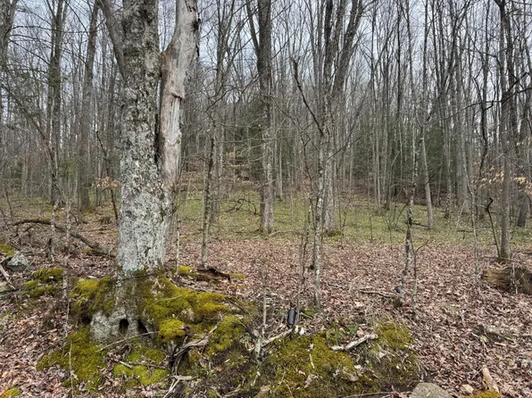 Sugar Camp Rd, Craigsville, WV 26205