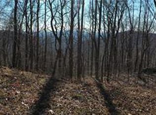 243 Dragon Trl, Ellijay, GA 30536