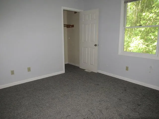Forest View Rd — Photo 11