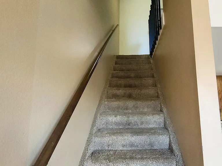 59 Castle Royal Dr — Photo 7