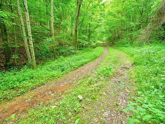 3rd image of LOT 87 Goodpasture Hollow Rd