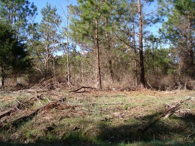 27 N Brown Rd, Littleton, NC, 27850