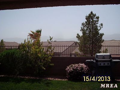 View from Back Yard
