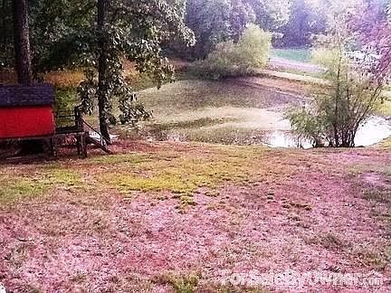 View Pond from Front Porch
						:
						View from front porch
