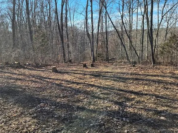 0 Catawba Dr, De Soto, MO 63020