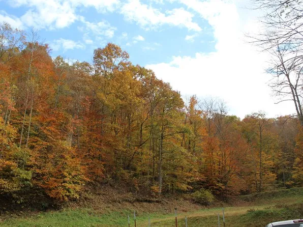 477 W Brown Rd, Martha, KY 41159