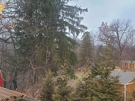 View from back window