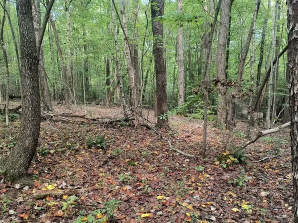 6.17 Spring Creek Rd, Cookeville, TN 38501