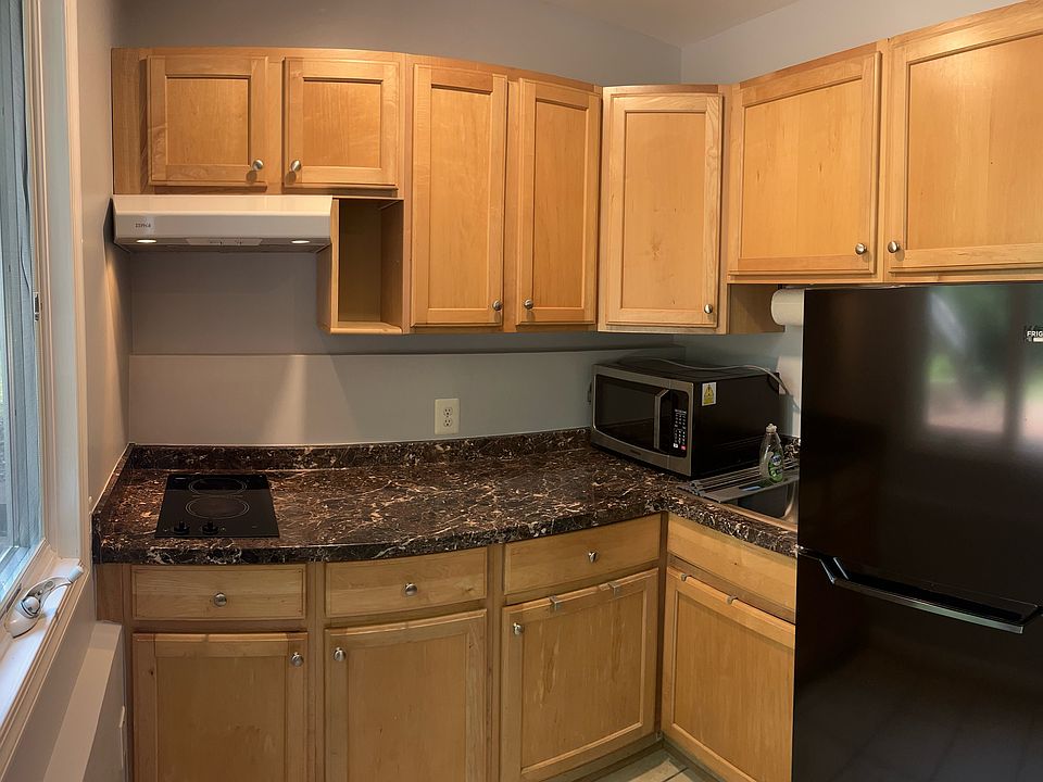 Kitchen with fridge and freezer, microwave, and two-burner electric stovetop
