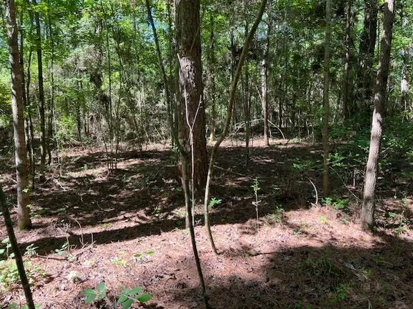 0 Rosin Ridge Rd, Red Level, AL 36474