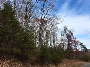 LT258 Andes Rdg, Ellijay, GA 30536