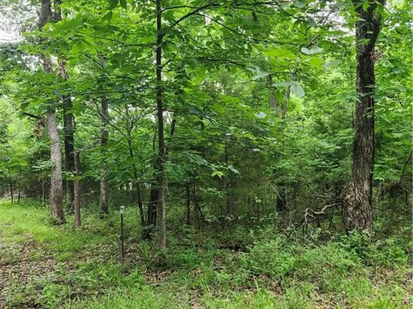 35 Mystic Valley Dr, Lacygne, KS 66040