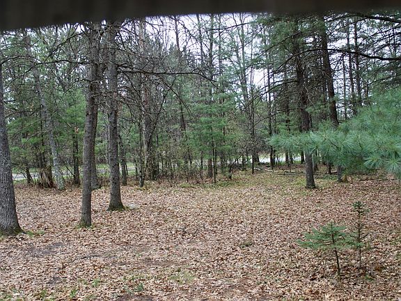 4th image of 9850 S Grayling Rd