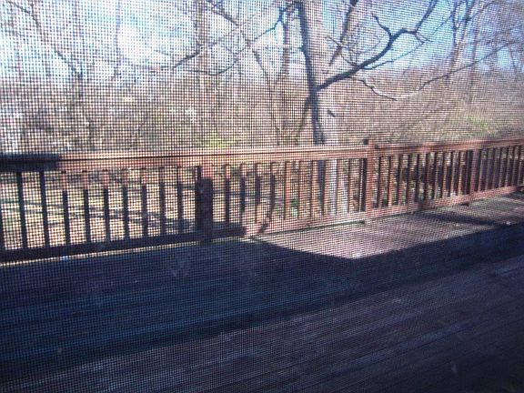 4th image of 2226 Sweetbriar Ln