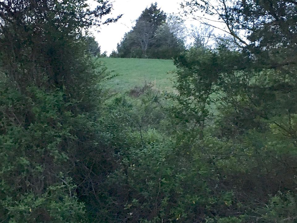 2nd image of Buffalo Ln