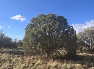 4354 Pinto Rd, Snowflake, AZ 85937