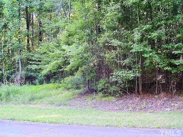 119 Buffalo Dr, Louisburg, NC 27549