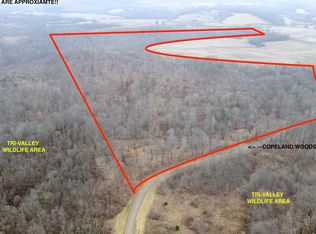 0 Copeland Woods Rd, Dresden, OH 43821