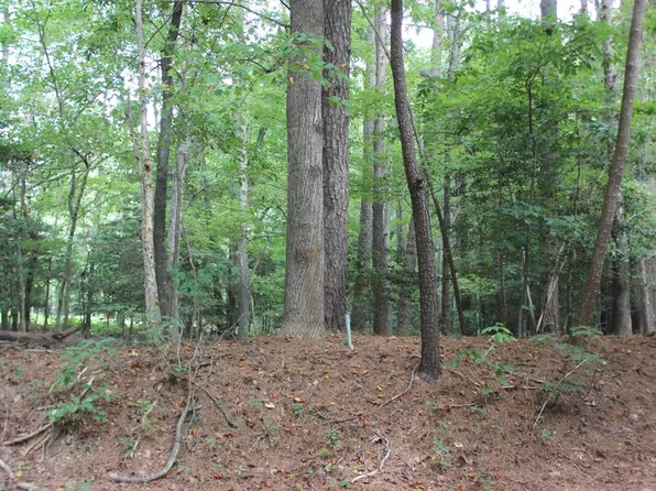 156 Shanghai Rd, Greenbackville, VA 23356