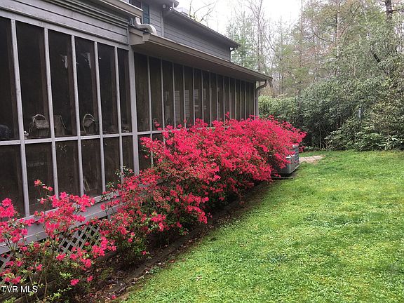 5th image of 150 Teague Ln