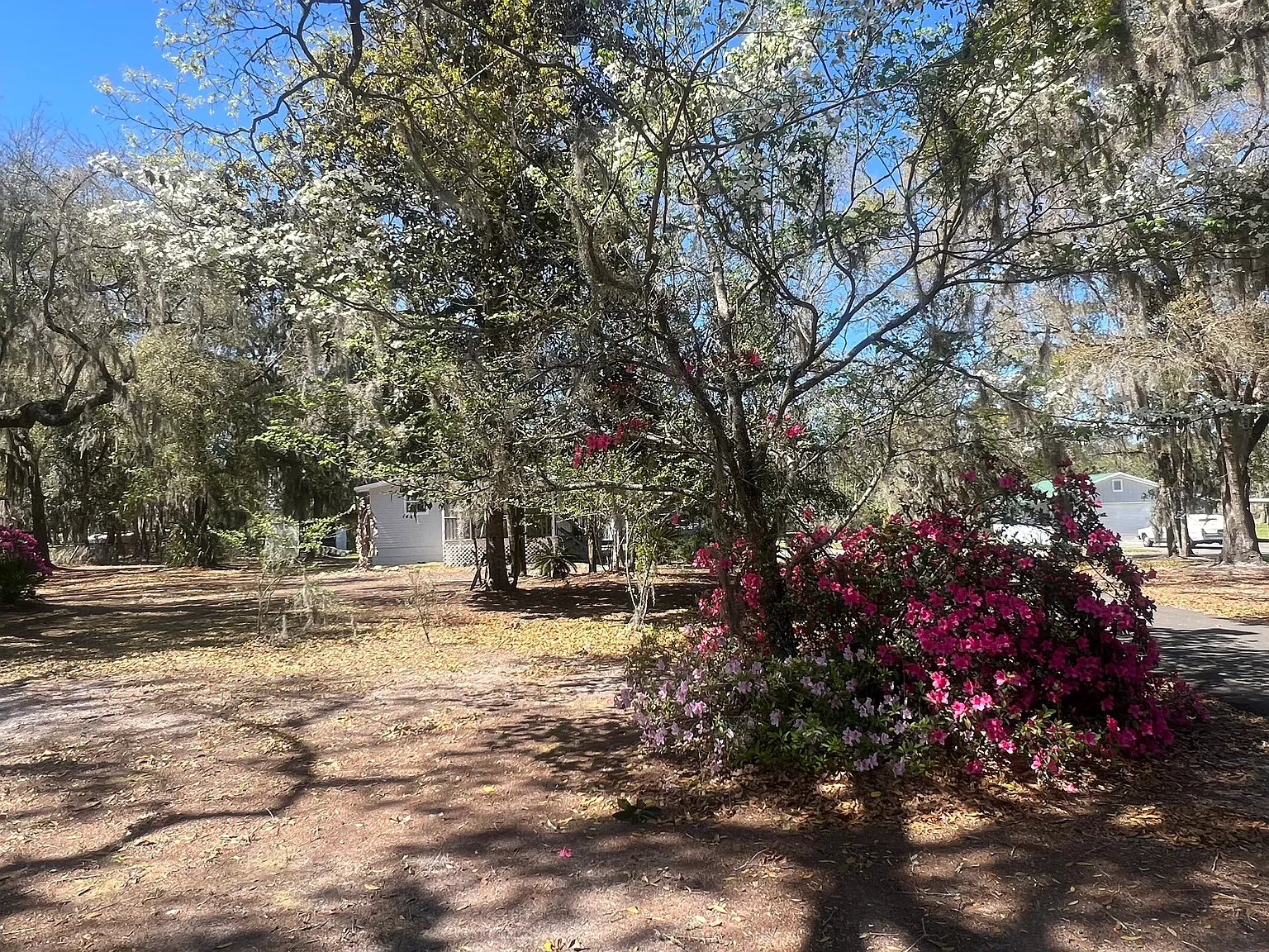 2 bed, 1144 sqft, $1,800 — Photo 3