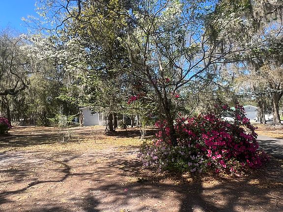 3rd image of 85581 Claxton Rd
