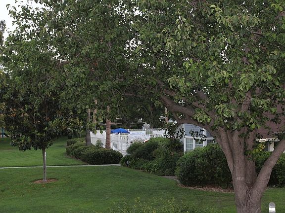 4th image of 4286 Humboldt Bay Way