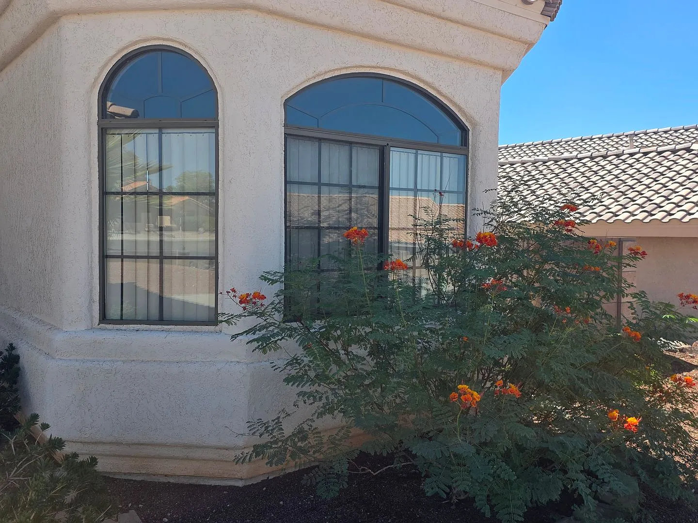 For Rent Updated 3-Bedroom Beauty with a Spacious Backyard & Gorgeous Patio! — Photo 4