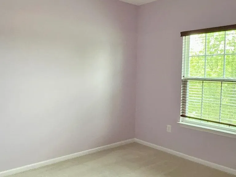 2515 Baileys Pond Rd — Photo 17