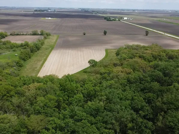 LOT State Highway 136 #C, Fisher, IL 61843