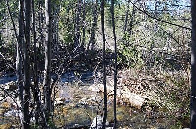 Swift Creek below and Behind Lot