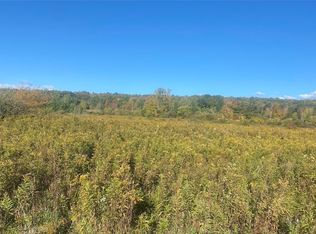 0 Kempshaw Rd, Hunt, NY 14846