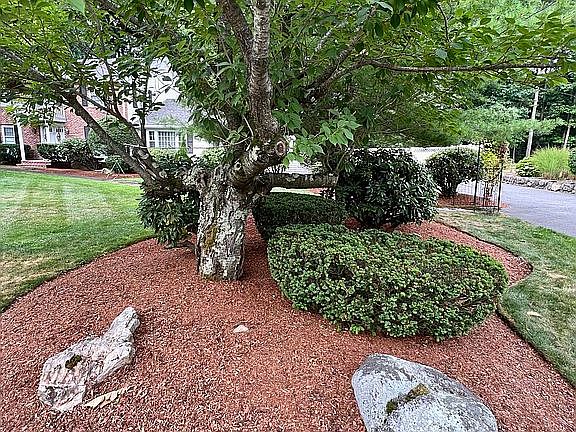 5th image of 37 Wildewood Dr