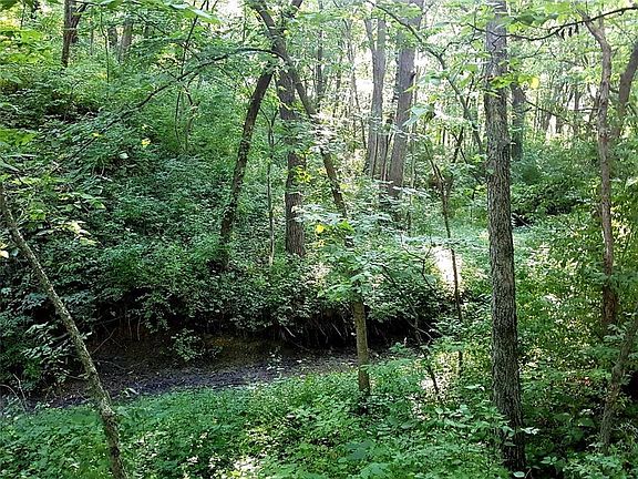 2nd image of Copper Ln