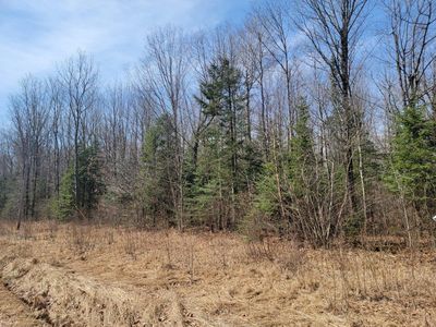 On Cth D, Phillips, WI, 54555