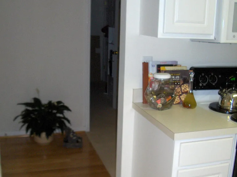 117 Avebury Ln — Photo 4