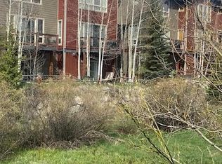 189 Meadow Mile Ave #C-5, Fraser, CO 80442