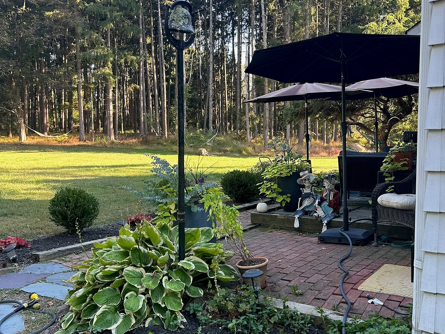 2 bed, 1900 sqft, $3,850 — Photo 1