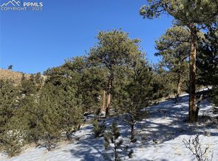 627 Larimer Dr, Hartsel, CO 80449