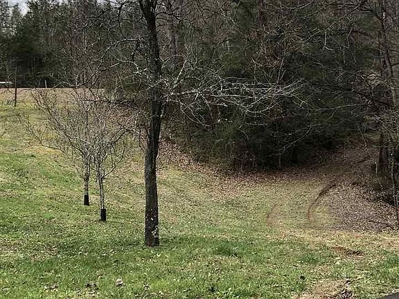 4th image of 11 Reed Ridge Rd Lot 11